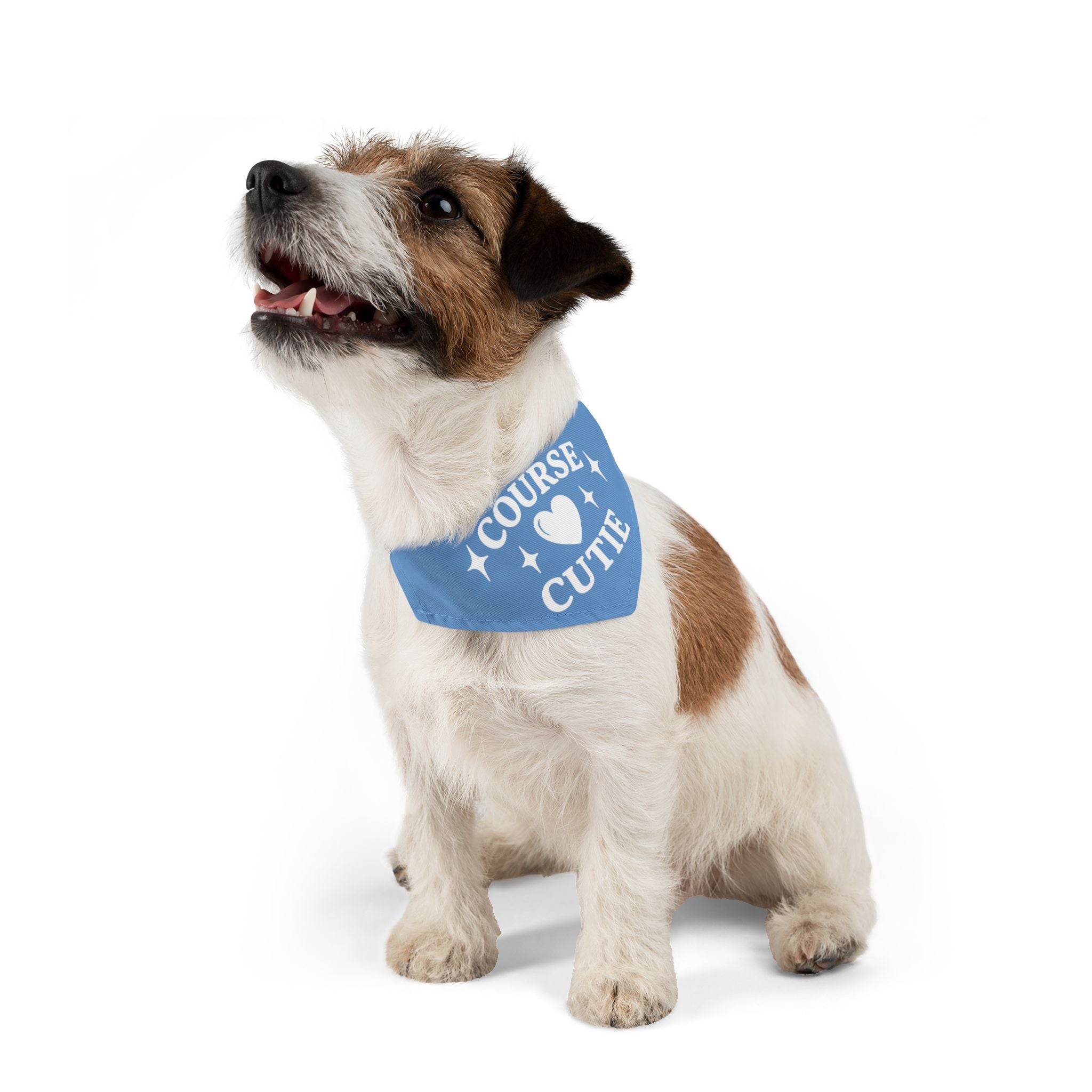 "Course Cutie" Pet Bandana with Collar - Fairway Breeze Blue