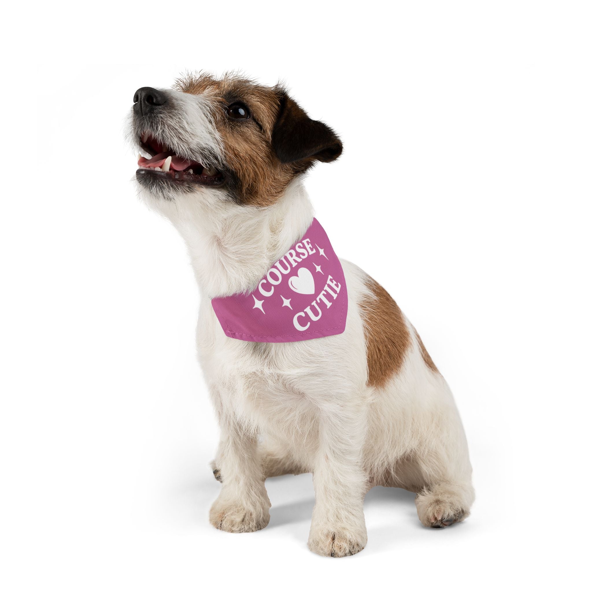 "Course Cutie" Pet Bandana with Collar - Bogey Blush Pink