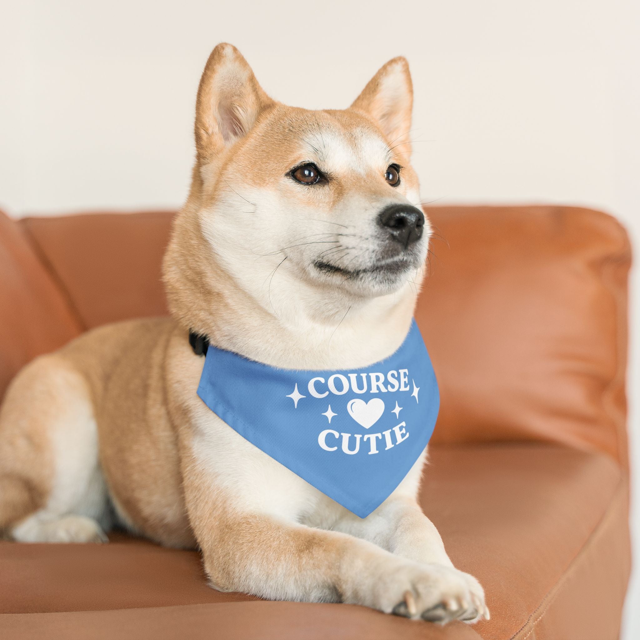"Course Cutie" Pet Bandana with Collar - Fairway Breeze Blue