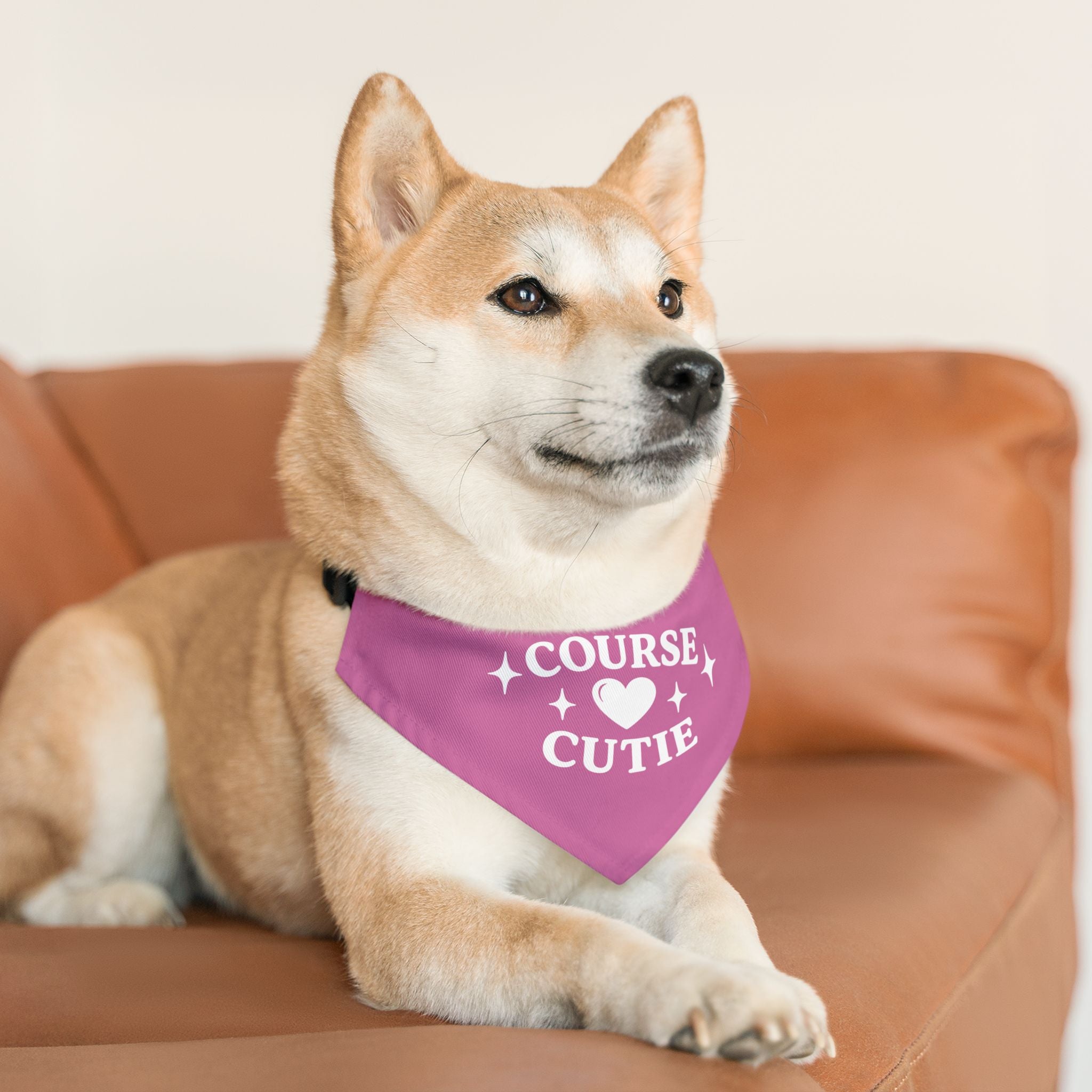 "Course Cutie" Pet Bandana with Collar - Bogey Blush Pink